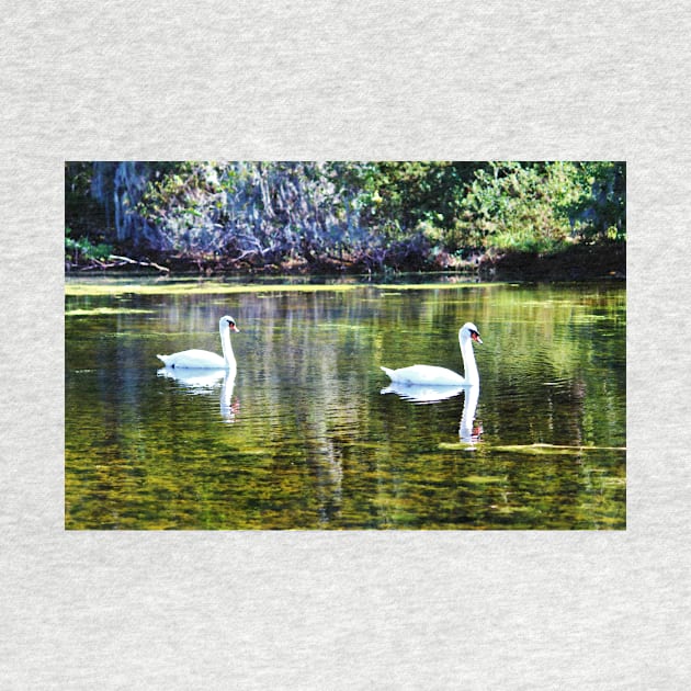 Swans At The Lake by Cynthia48